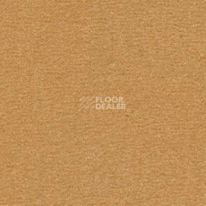 Ковролин Radici Nexus Biondo 8214 фото 1 | FLOORDEALER